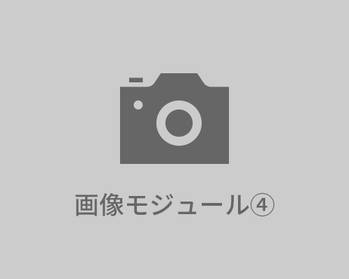 ダミー
